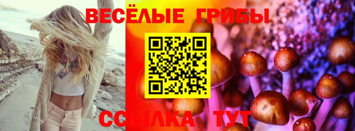 Каменск-Шахтинский  Псилоцибиновые грибы Cubensis  Вход с VPN 